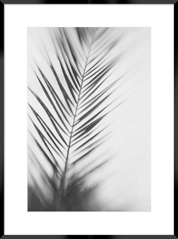 Biella Art framed prints melbourne