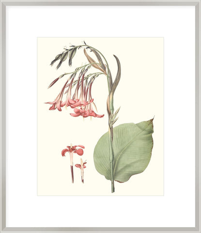 Biella Art framed prints melbourne