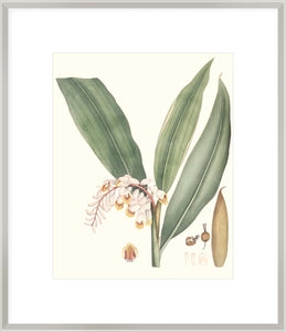 Biella Art framed prints melbourne