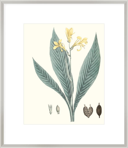 Biella Art framed prints melbourne