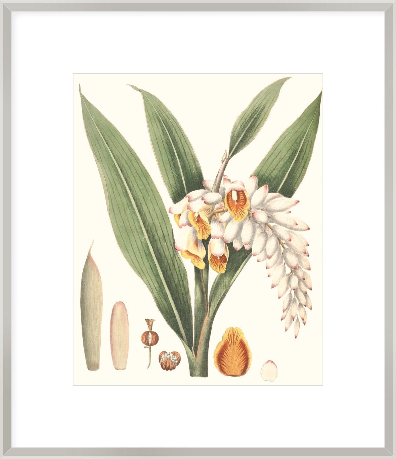 Biella Art framed prints melbourne
