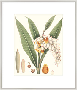 Biella Art framed prints melbourne