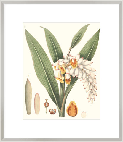 Biella Art framed prints melbourne