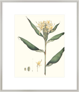 Biella Art framed prints melbourne