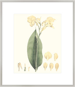Biella Art framed prints melbourne