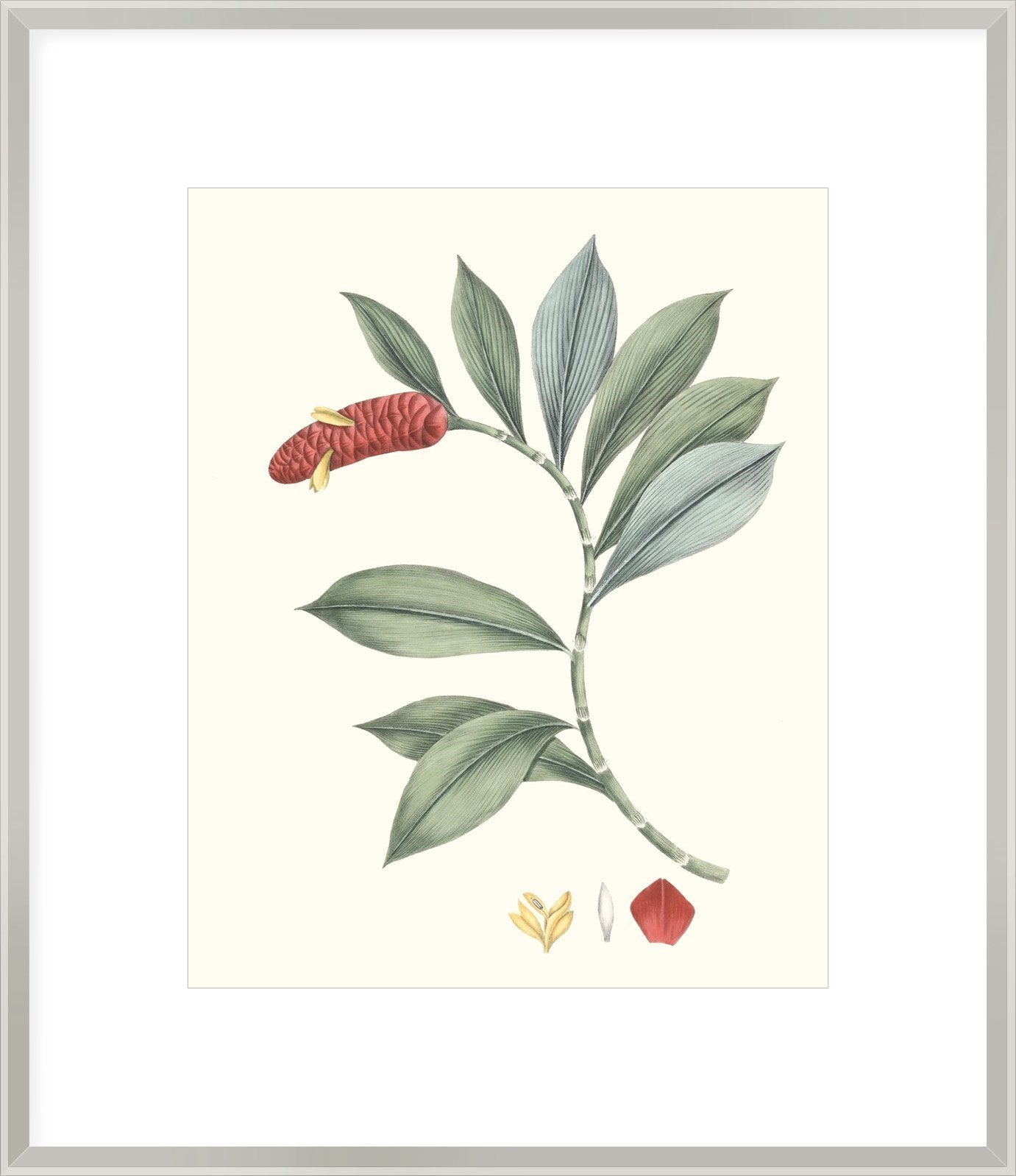 Biella Art framed prints melbourne