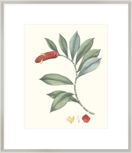 Biella Art framed prints melbourne