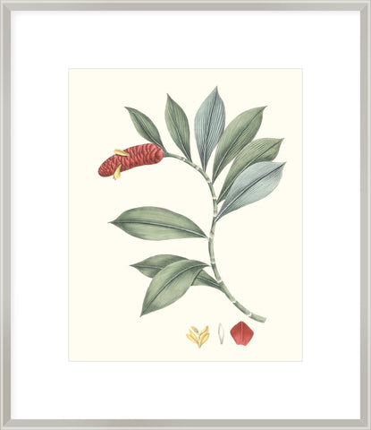 Biella Art framed prints melbourne