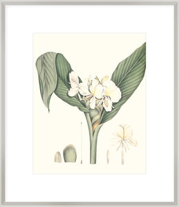 Biella Art framed prints melbourne