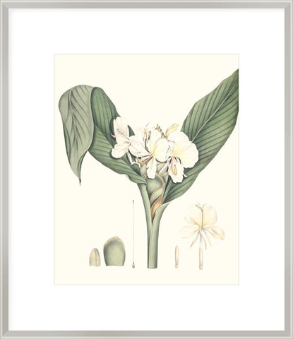 Biella Art framed prints melbourne