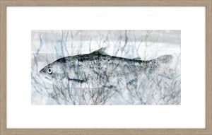 Swimming Fish II