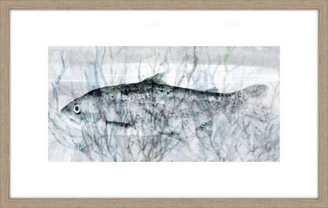 Swimming Fish II