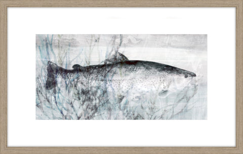 Swimming Fish I