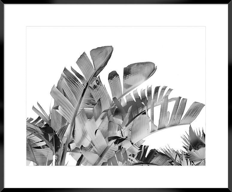 Biella Art framed prints melbourne