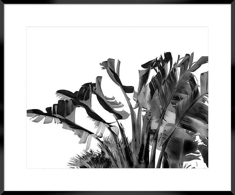 Biella Art framed prints melbourne