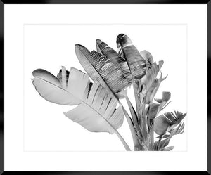 Biella Art framed prints melbourne