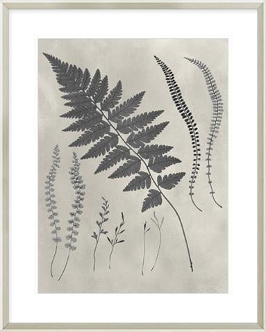 Biella Art framed prints melbourne