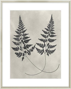 Biella Art framed prints melbourne