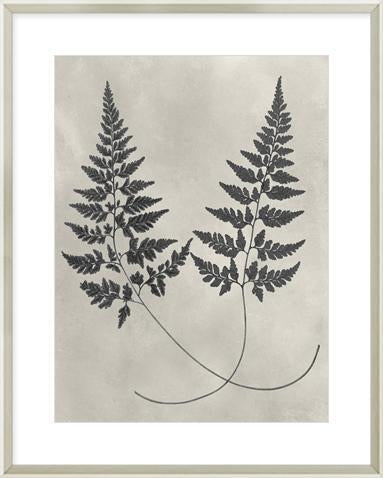 Biella Art framed prints melbourne