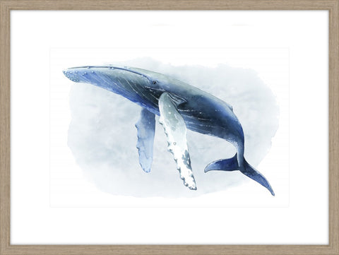 Watercolor Humpback II