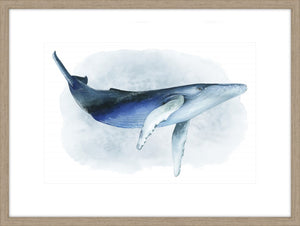 Watercolor Humpback I