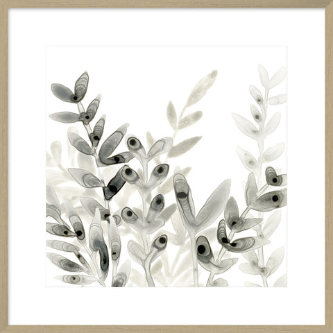 Biella Art framed prints melbourne