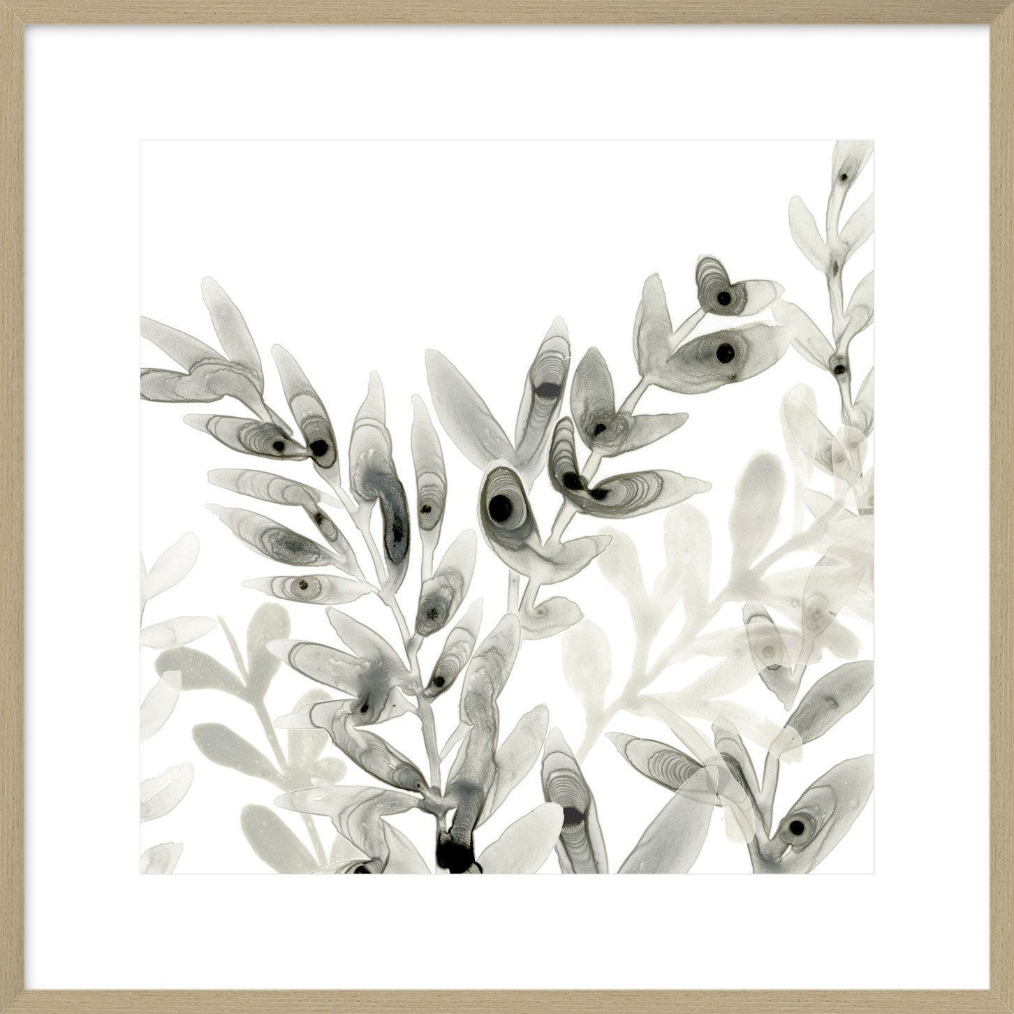 Biella Art framed prints melbourne