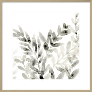 Biella Art framed prints melbourne