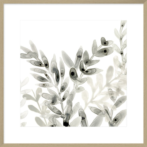 Biella Art framed prints melbourne