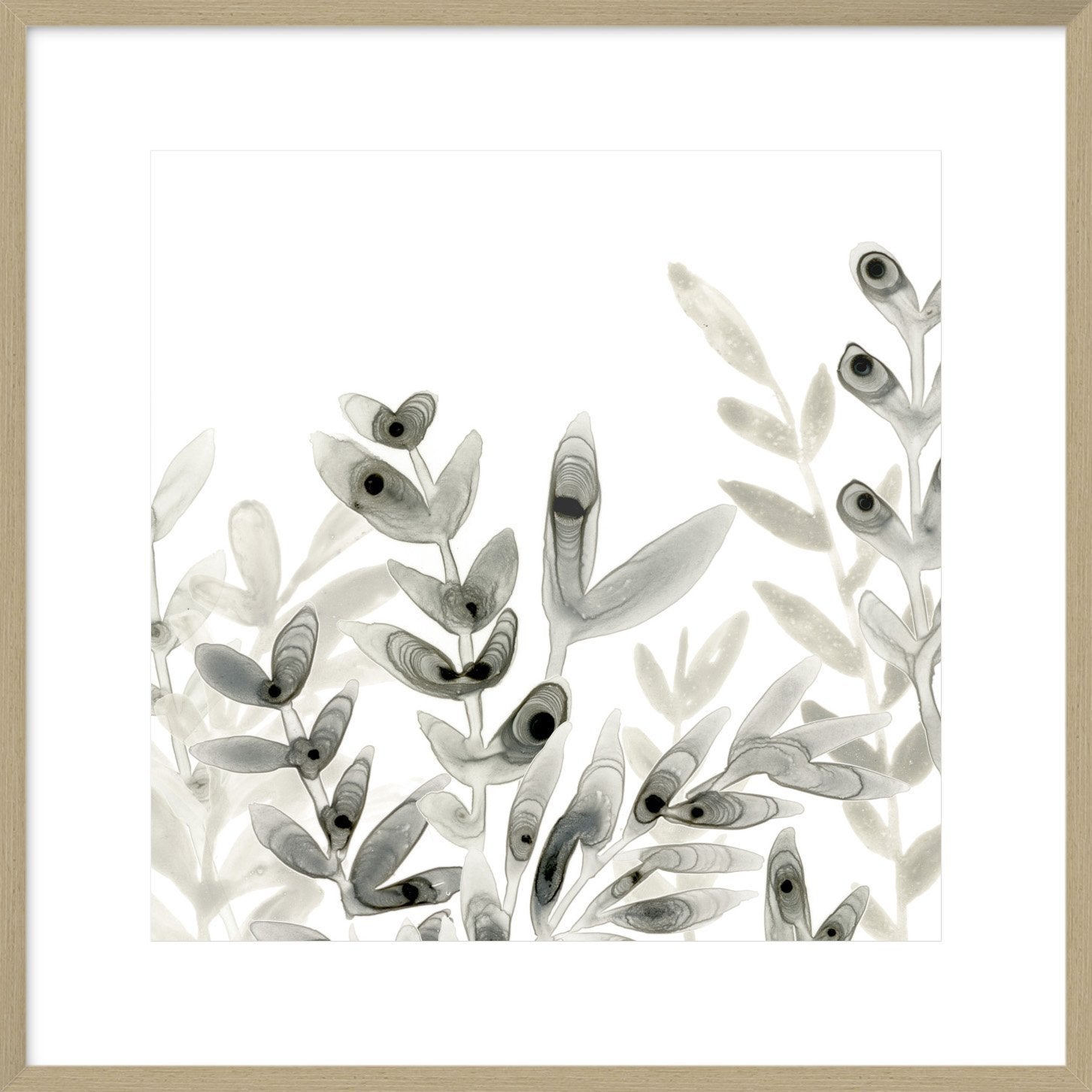 Biella Art framed prints melbourne