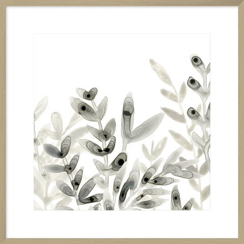 Biella Art framed prints melbourne