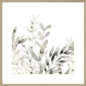 Biella Art framed prints melbourne
