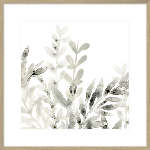 Biella Art framed prints melbourne