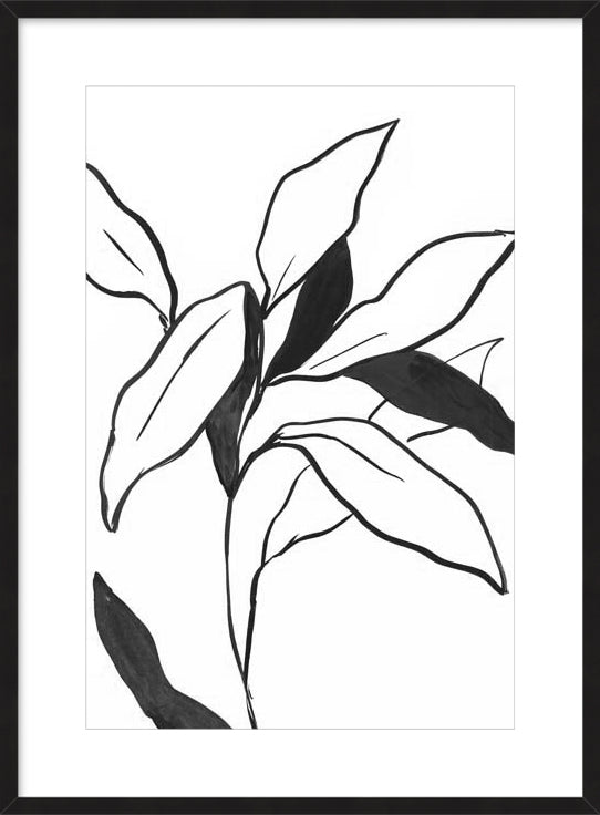 Indigo Lilly