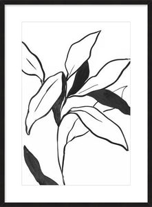 Indigo Lilly