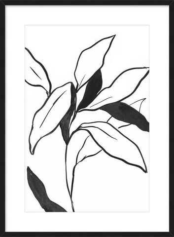 Indigo Lilly