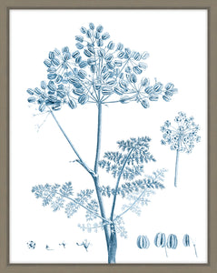 Antique Botanical In Blue VI