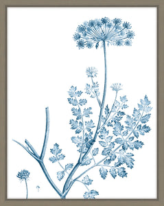 Antique Botanical In Blue V