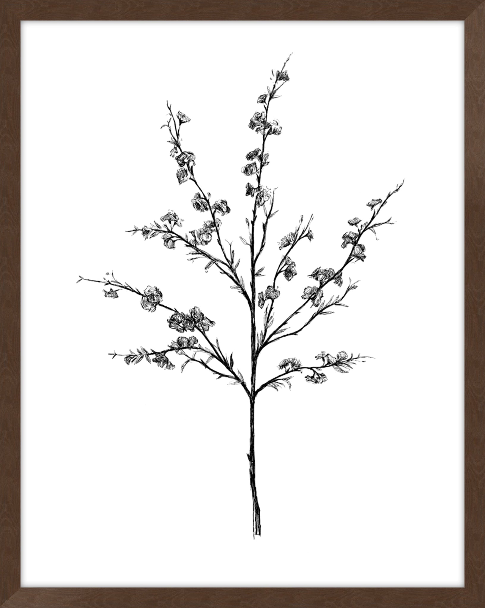 Field Flower III