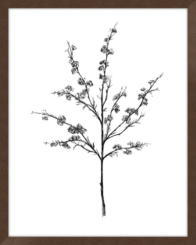 Field Flower III