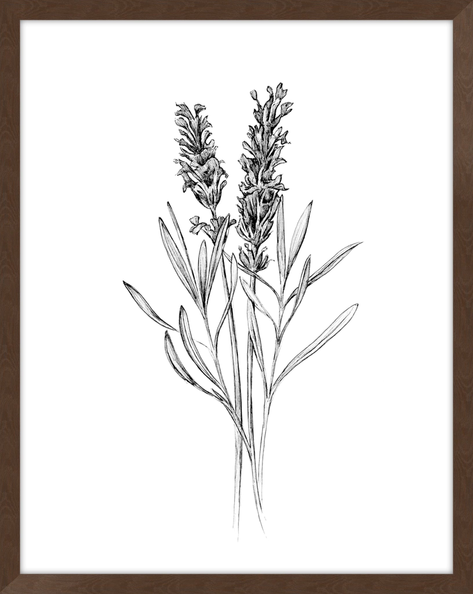 Field Flower II