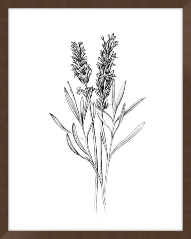 Field Flower II