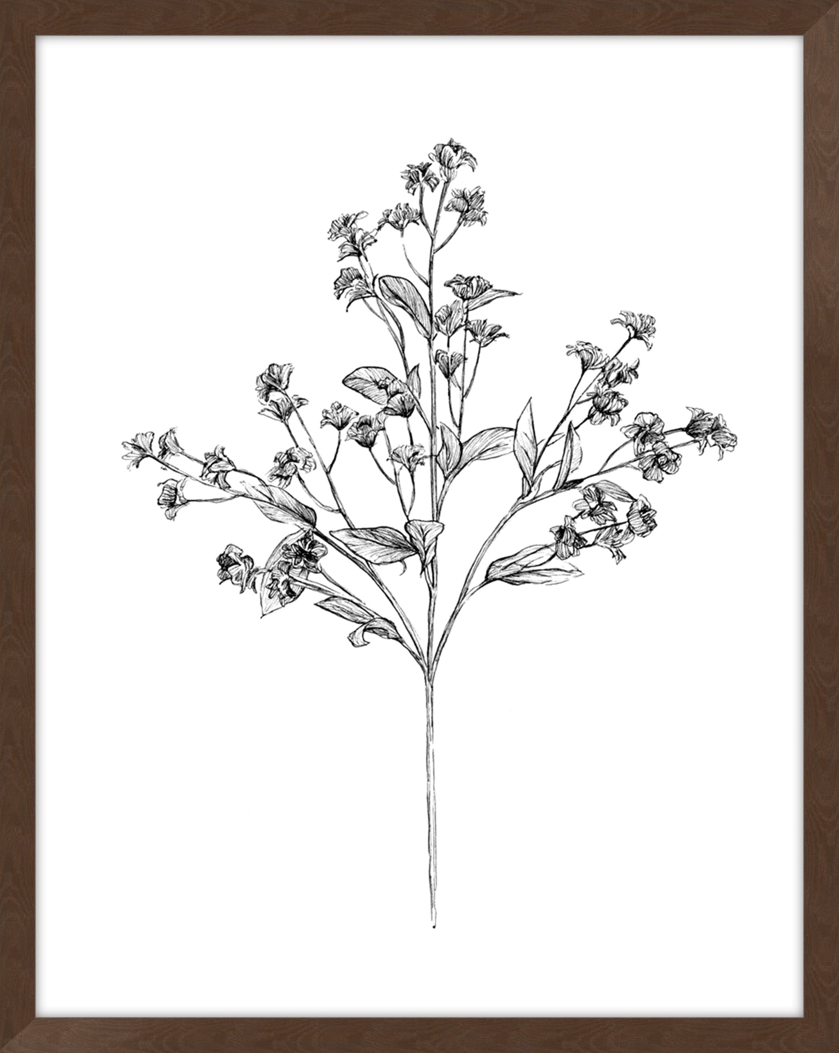 Field Flower IV