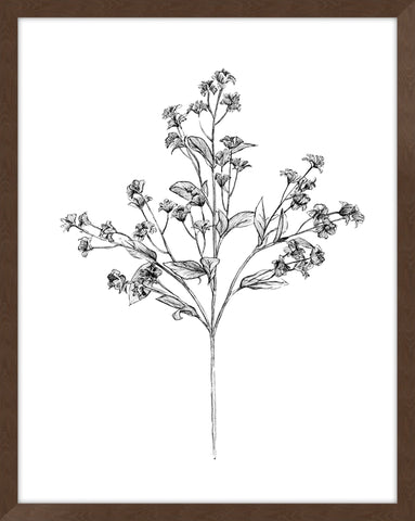Field Flower IV