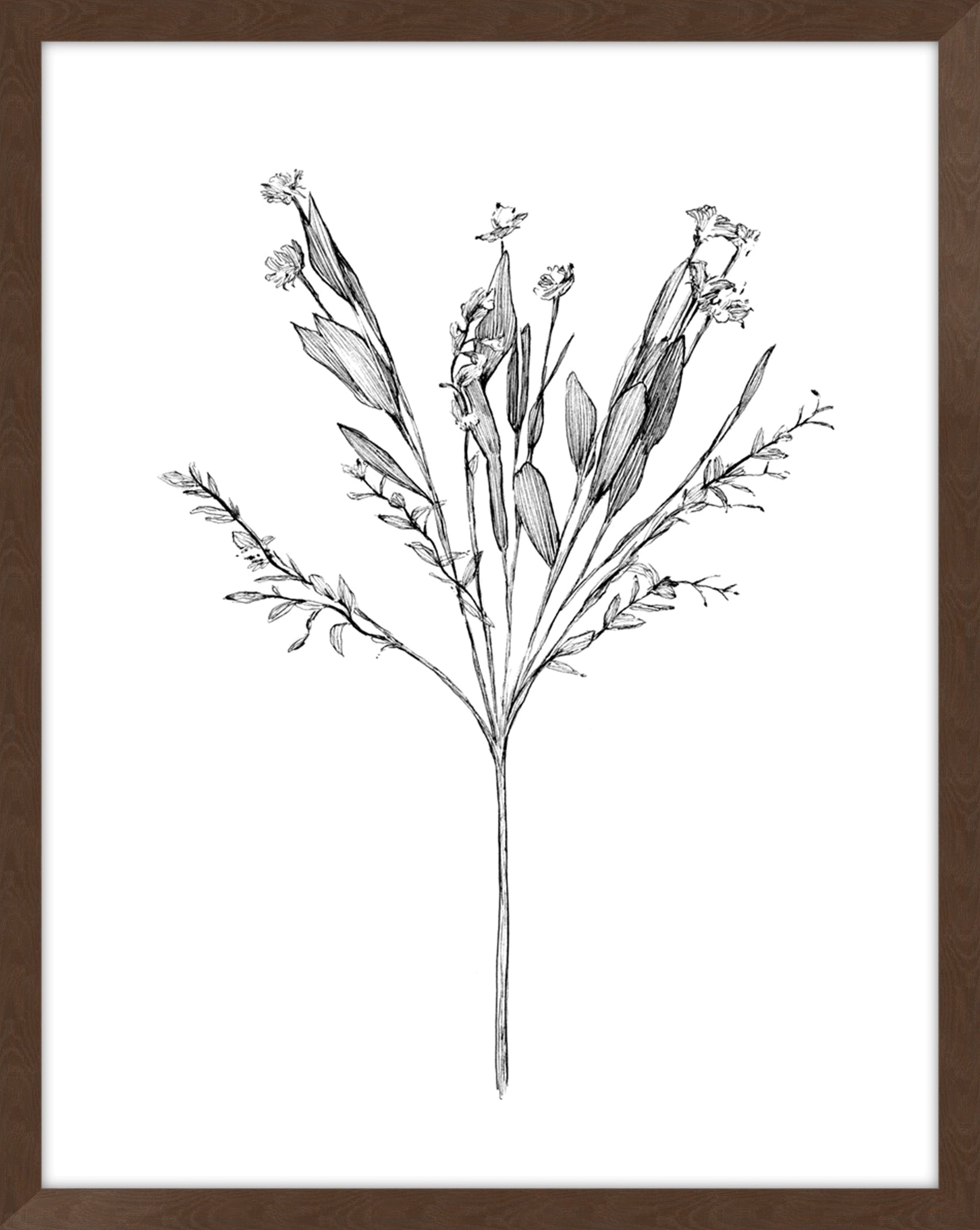 Field Flower I