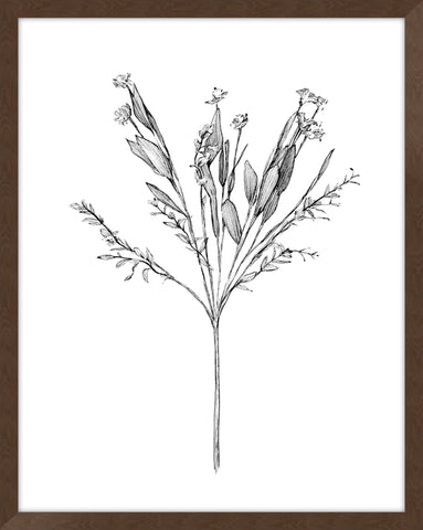 Field Flower I