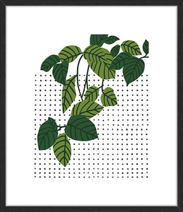 Foliage Chart