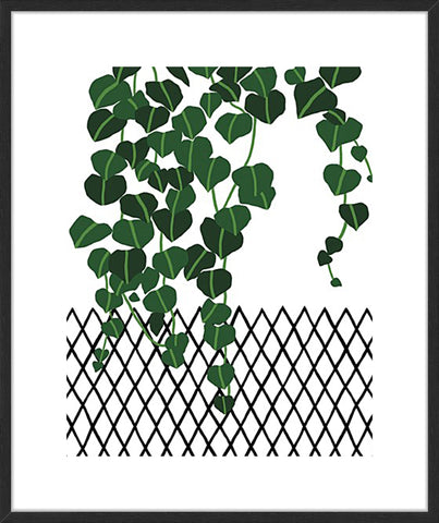 Foliage Diagram