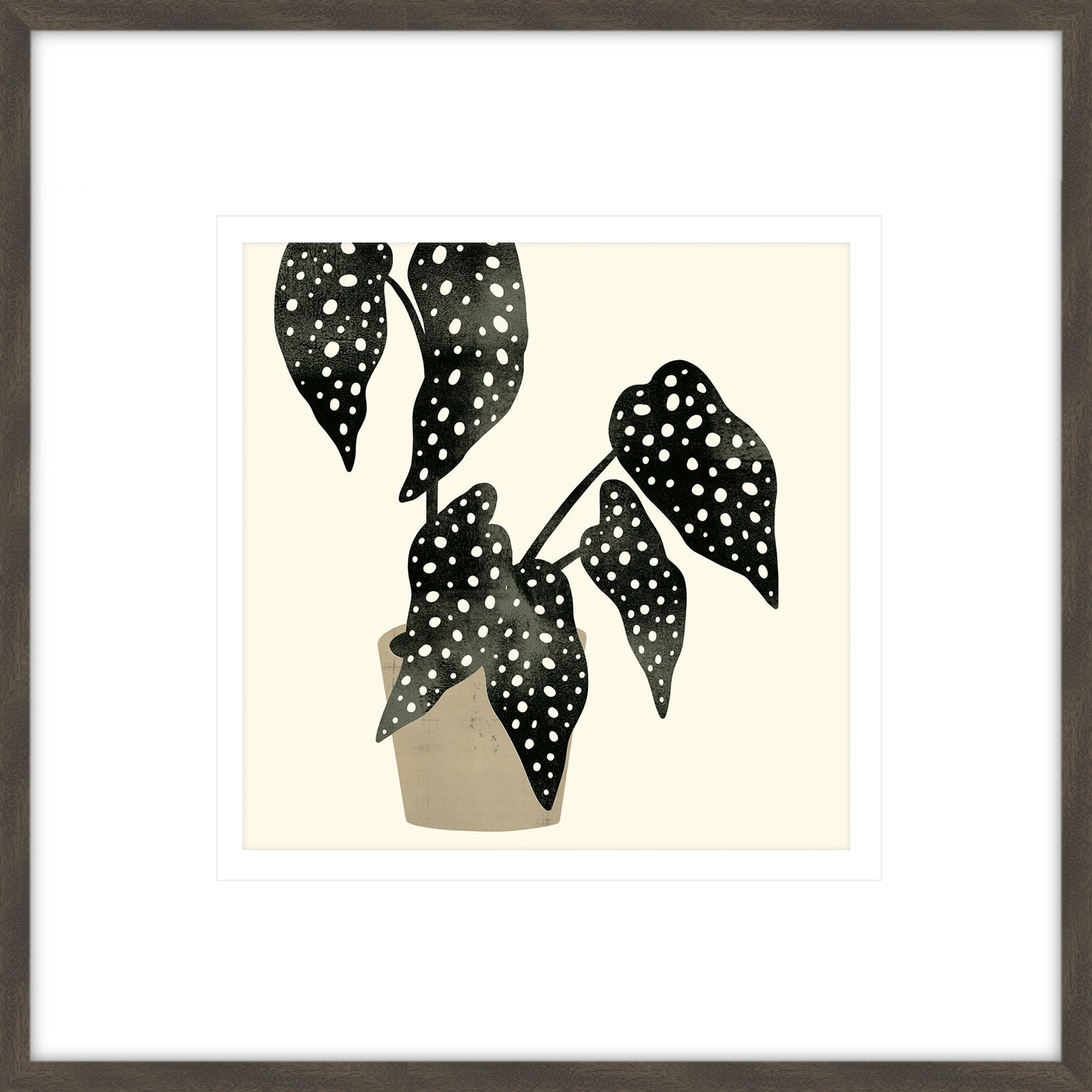 Plantling III