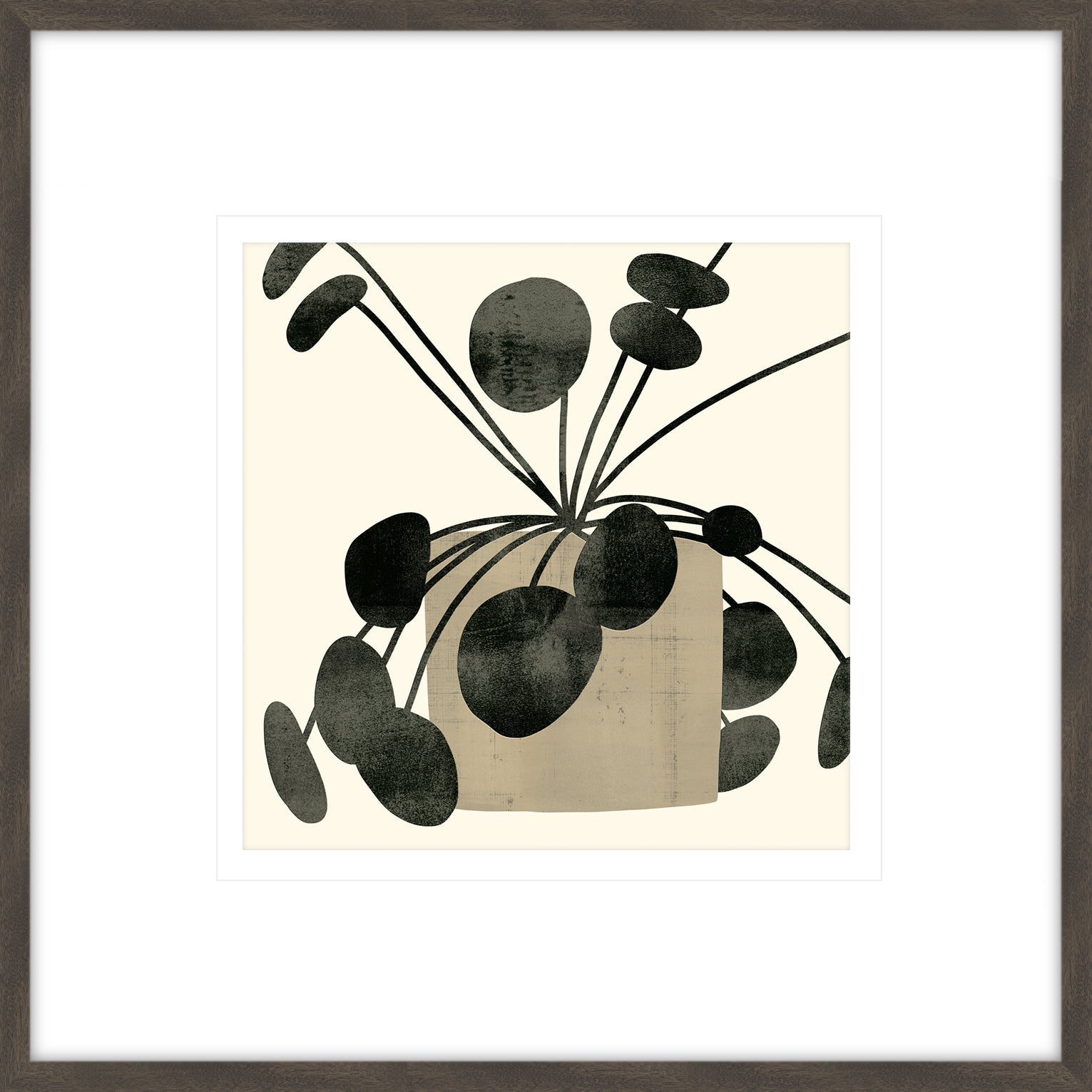 Plantling IV